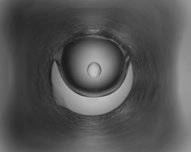 X0000088061441200705251333