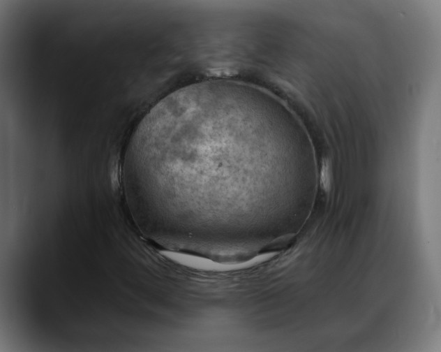 X0000088061444200705251333