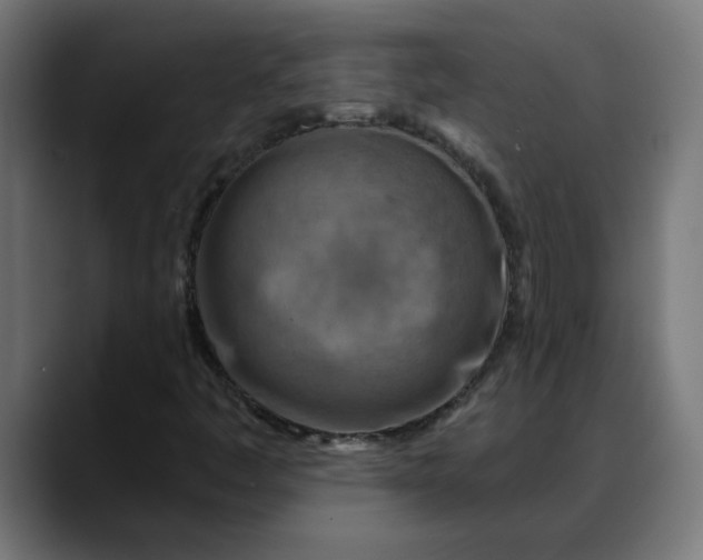 X0000088061445200705251333