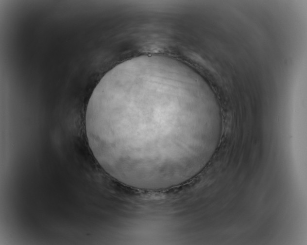X0000088061446200705251333