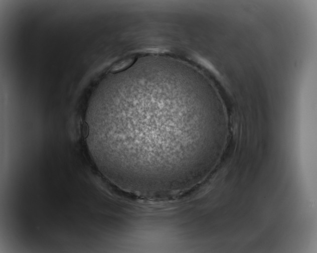 X0000088061448200705251333