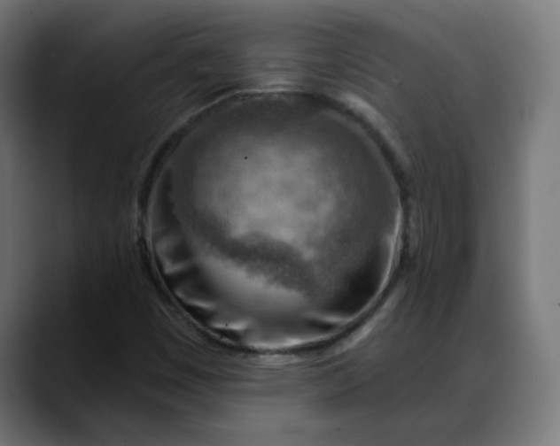 X0000088061449200705251333