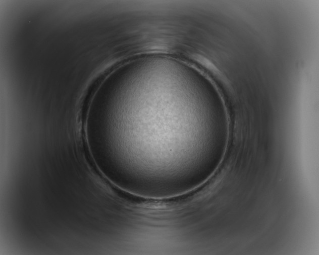 X0000088061450200705251333