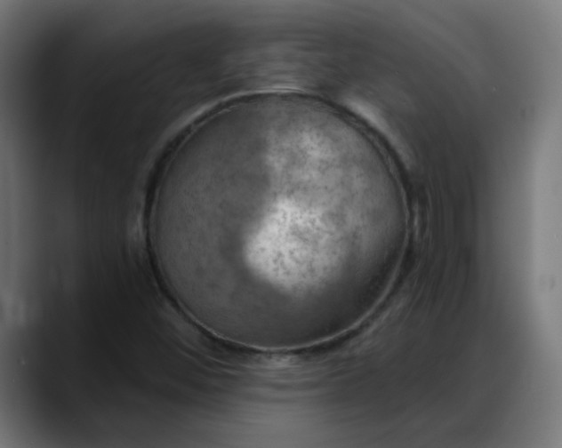 X0000088061452200705251333