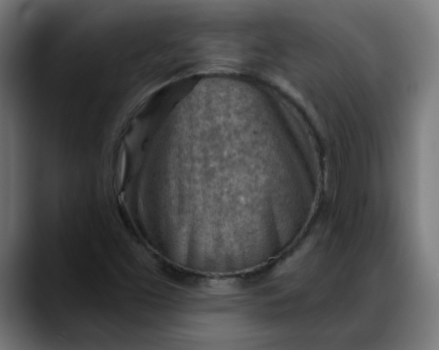 X0000088061453200705251333
