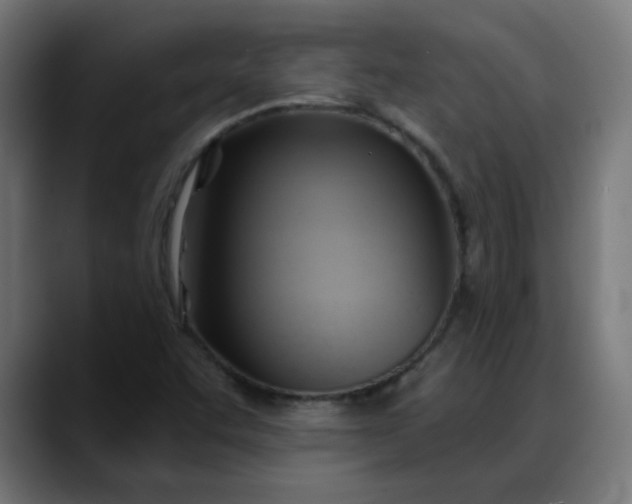 X0000088061455200705251333