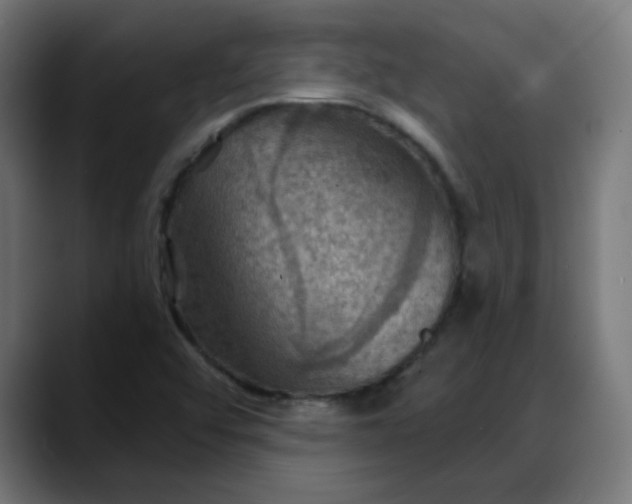 X0000088061456200705251333