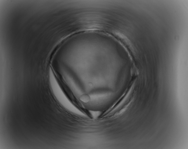 X0000088061457200705251333