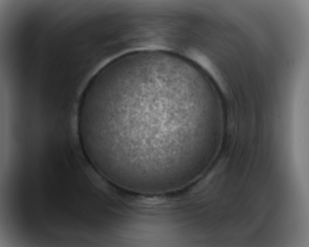 X0000088061460200705251333