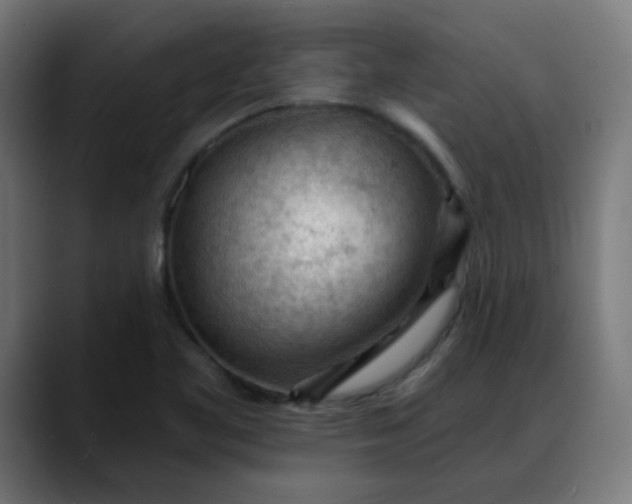 X0000088061461200705251333