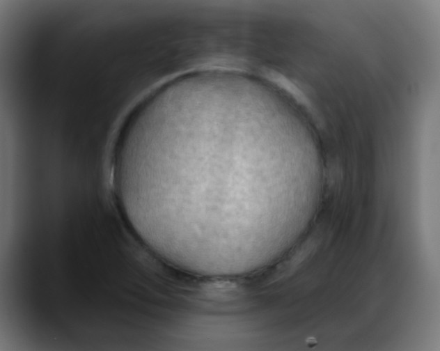 X0000088061462200705251333