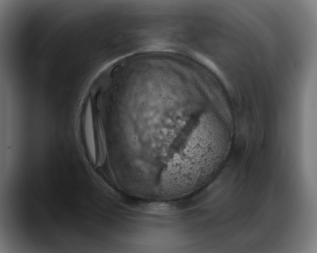 X0000088061463200705251333