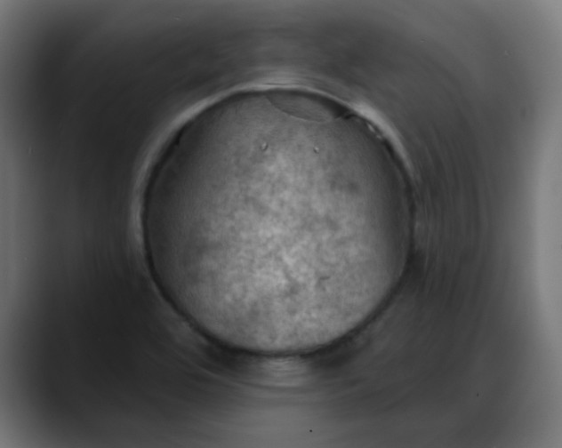 X0000088061464200705251333