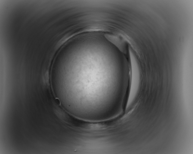 X0000088061465200705251333