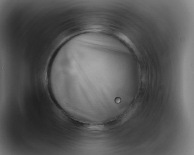 X0000088061466200705251333