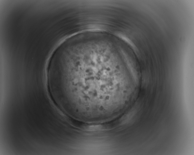 X0000088061467200705251333