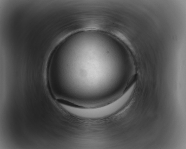 X0000088061469200705251332