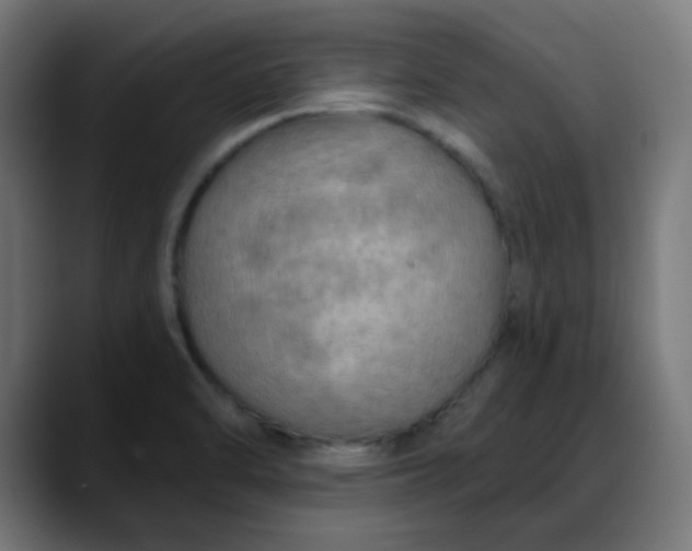 X0000088061470200705251332
