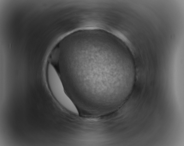 X0000088061472200705251332