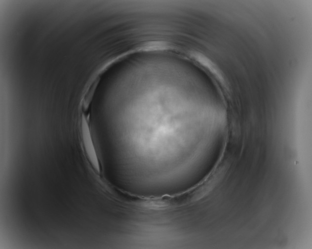 X0000088061473200705251332