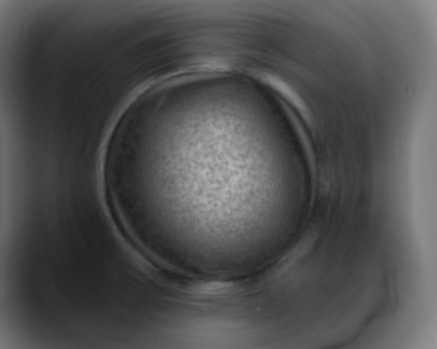 X0000088061475200705251332