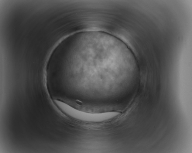 X0000088061476200705251332