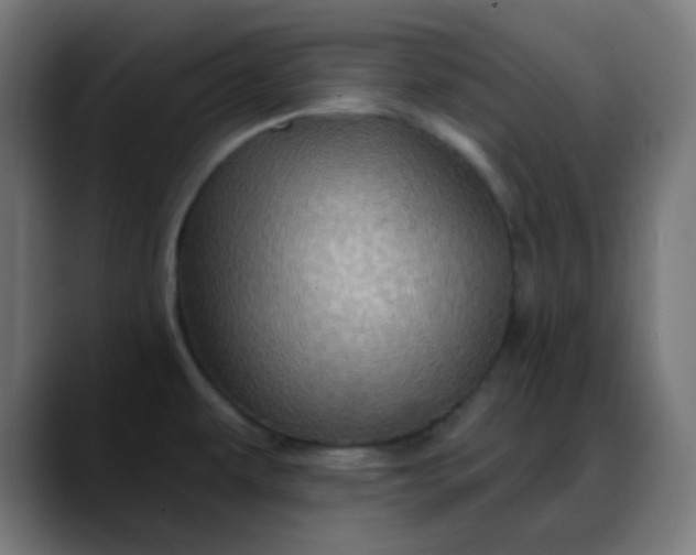 X0000088061479200705251332