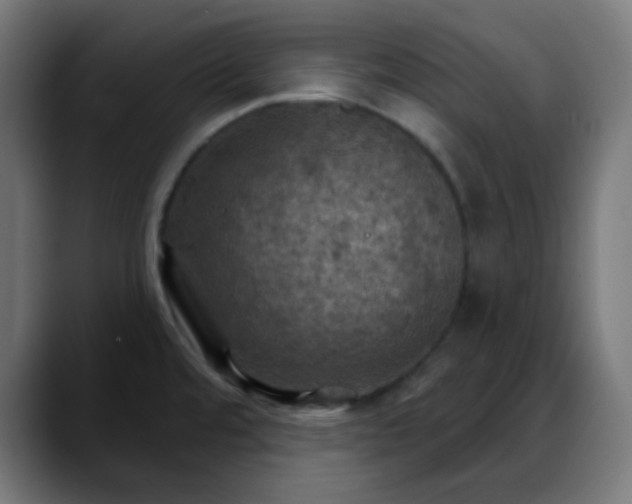 X0000088061480200705251332