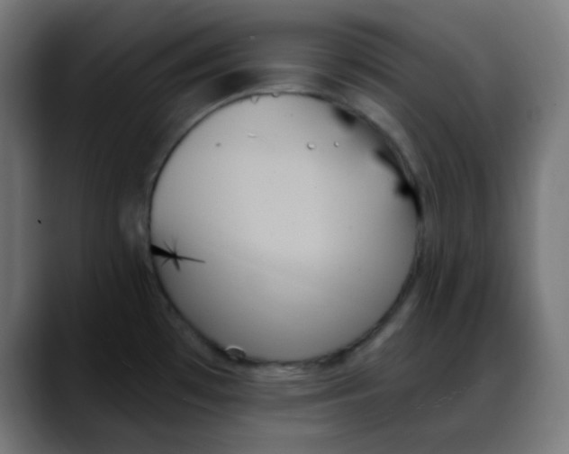 X0000088061481200705251332