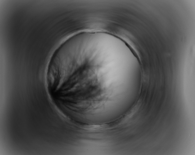 X0000088061485200705251332