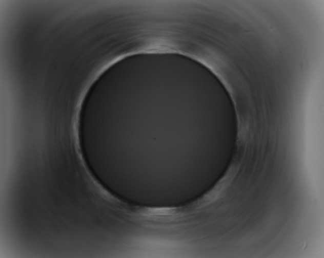 X0000088061486200705251332