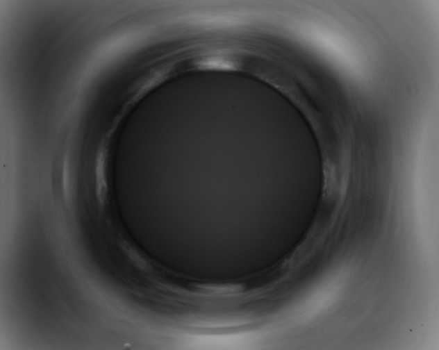 X0000088061487200705251332