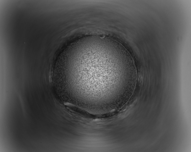 X0000088061490200705251332