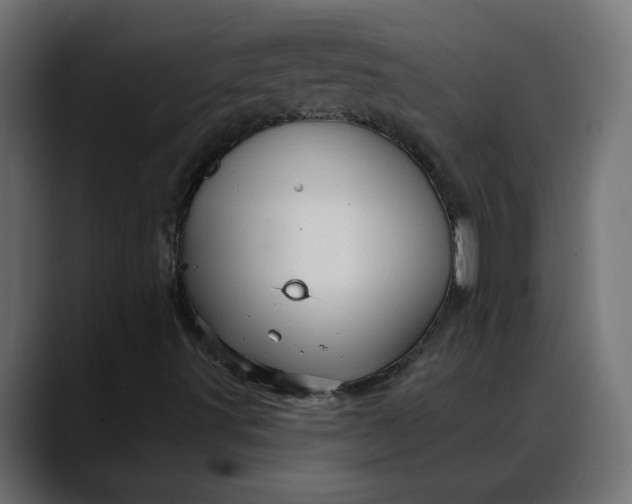 X0000088061491200705251332