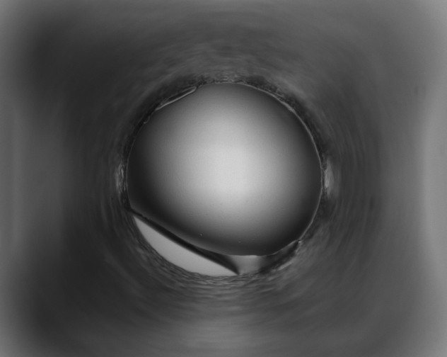 X0000088061492200705251332
