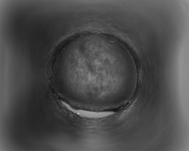 X0000088061494200705251332