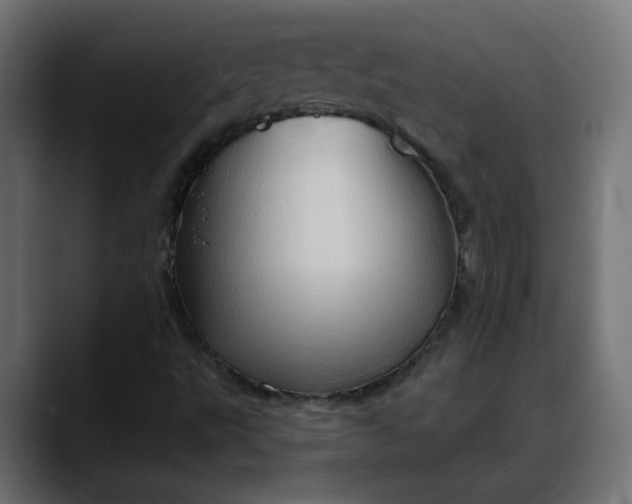 X0000088061495200705251332