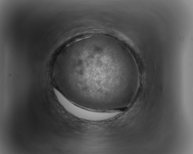 X0000088061496200705251332
