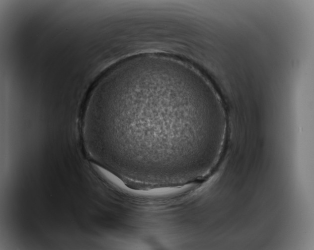 X0000088061497200705251332