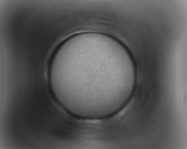 X0000088061498200705251332