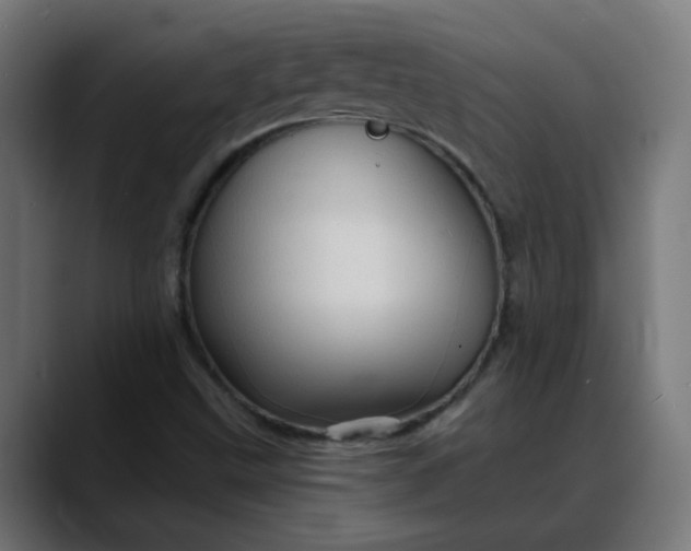 X0000088061499200705251332