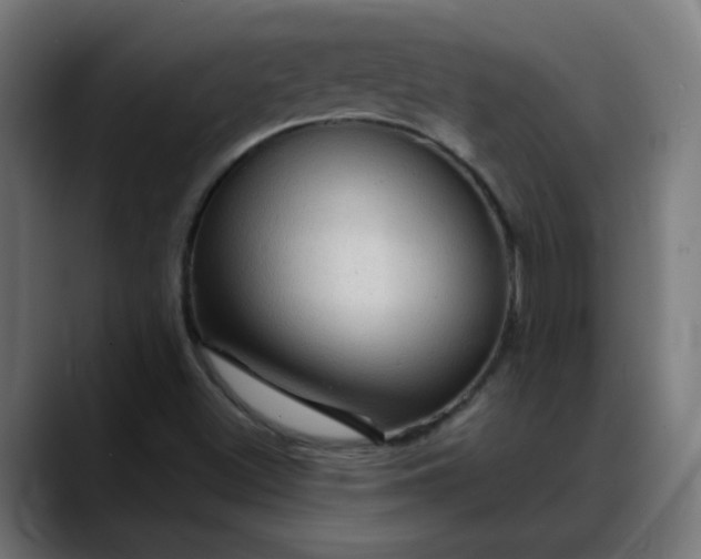 X0000088061500200705251332