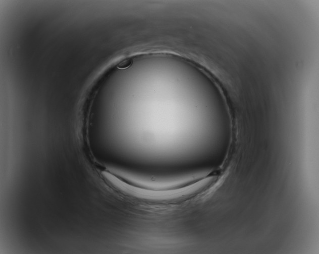 X0000088061502200705251332