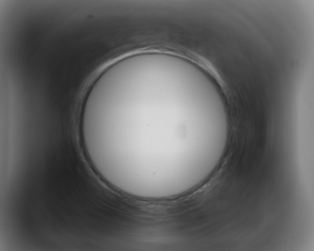 X0000088061504200705251332