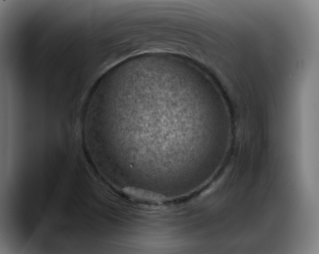 X0000088061505200705251332