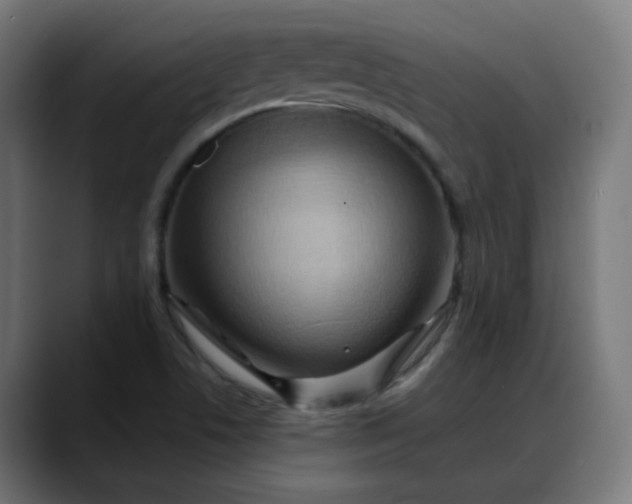 X0000088061506200705251332
