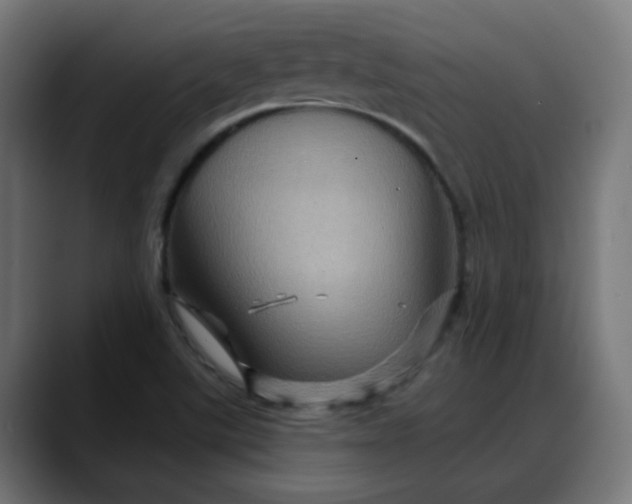X0000088061507200705251332