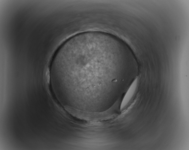 X0000088061509200705251332