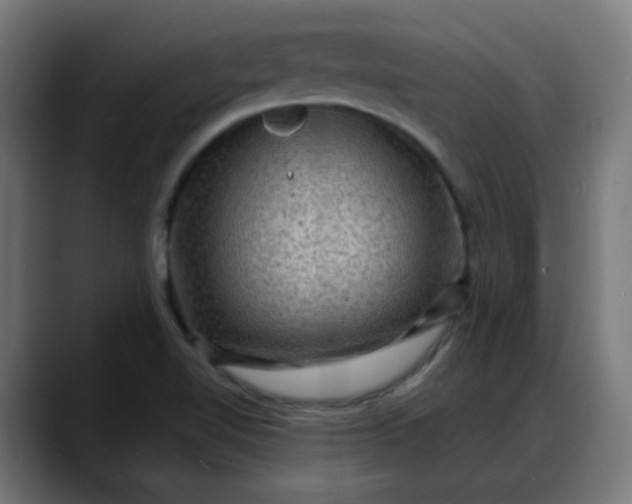 X0000088061510200705251332