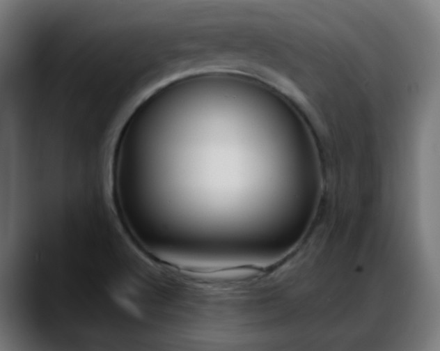 X0000088061512200705251332